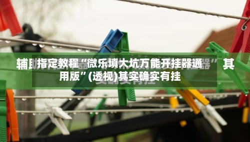 指定教程“微乐填大坑万能开挂器通用版”(透视)其实确实有挂-第2张图片