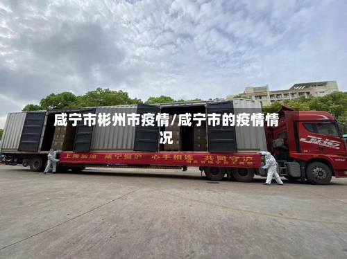 咸宁市彬州市疫情/咸宁市的疫情情况-第1张图片