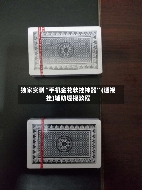 独家实测“手机金花软挂神器”(透视挂)辅助透视教程-第2张图片