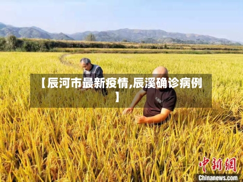 【辰河市最新疫情,辰溪确诊病例】-第2张图片