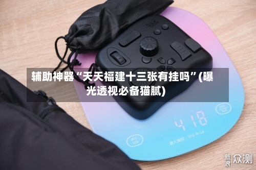 辅助神器“天天福建十三张有挂吗	”(曝光透视必备猫腻)-第1张图片