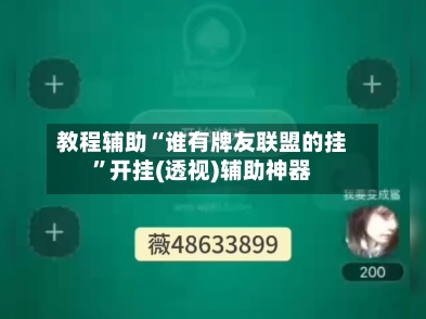 教程辅助“谁有牌友联盟的挂”开挂(透视)辅助神器-第1张图片