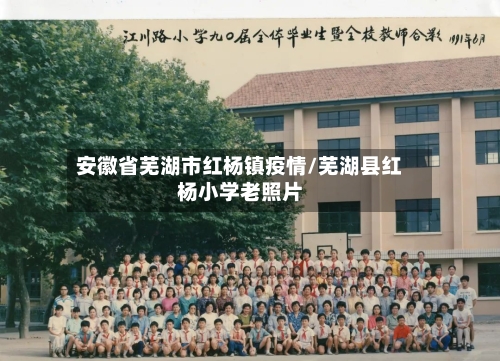 安徽省芜湖市红杨镇疫情/芜湖县红杨小学老照片-第2张图片