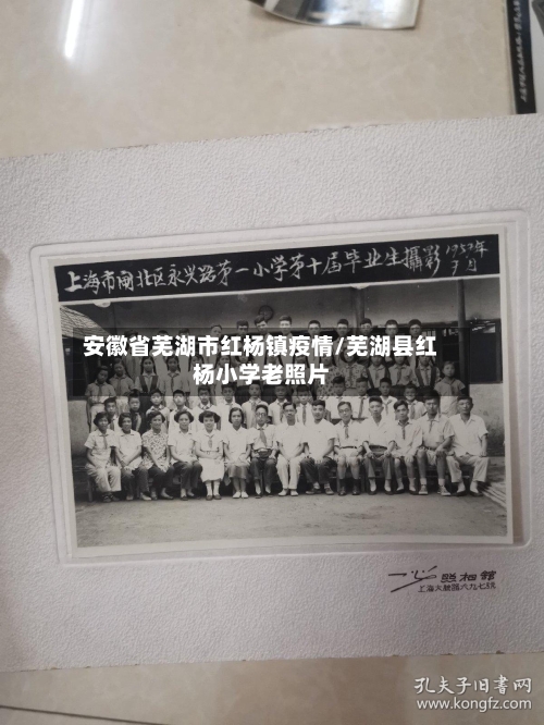 安徽省芜湖市红杨镇疫情/芜湖县红杨小学老照片-第1张图片