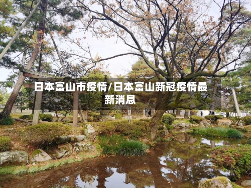 日本富山市疫情/日本富山新冠疫情最新消息-第3张图片