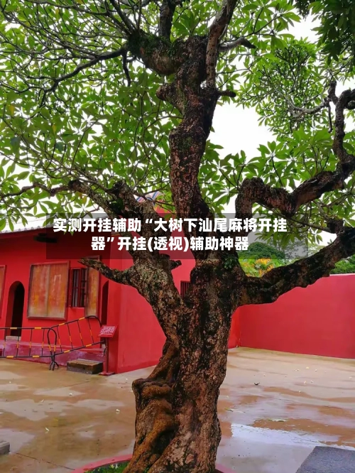 实测开挂辅助“大树下汕尾麻将开挂器”开挂(透视)辅助神器-第1张图片