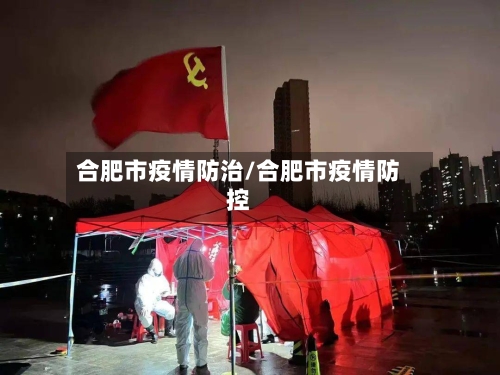 合肥市疫情防治/合肥市疫情防控-第3张图片