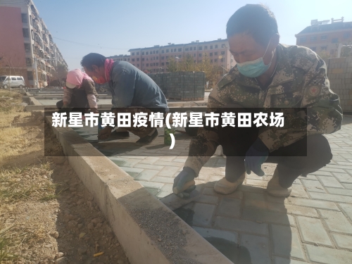 新星市黄田疫情(新星市黄田农场)-第2张图片