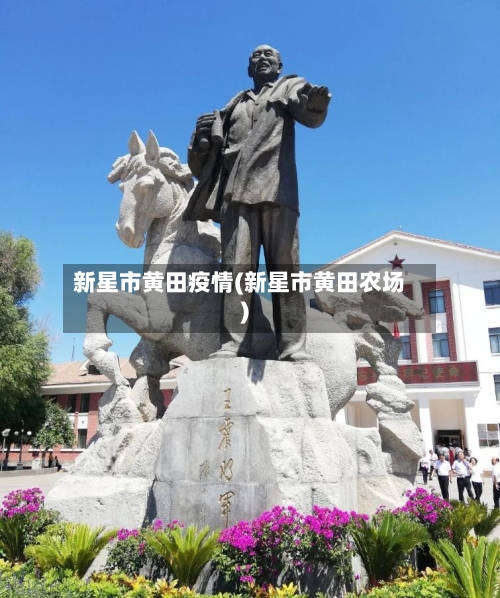 新星市黄田疫情(新星市黄田农场)-第1张图片