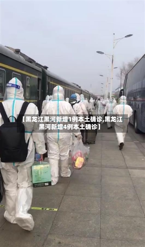 【黑龙江黑河新增1例本土确诊,黑龙江黑河新增4例本土确诊】-第1张图片