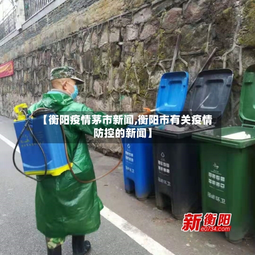 【衡阳疫情茅市新闻,衡阳市有关疫情防控的新闻】-第2张图片