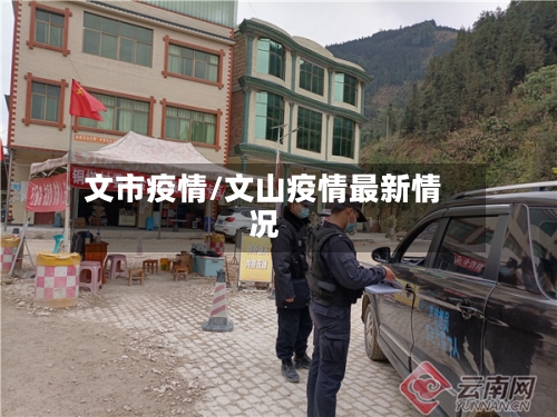 文市疫情/文山疫情最新情况-第1张图片