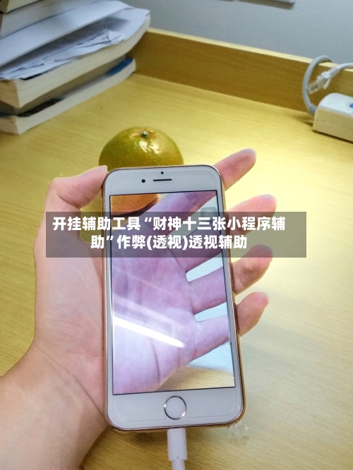 开挂辅助工具“财神十三张小程序辅助	”作弊(透视)透视辅助-第3张图片