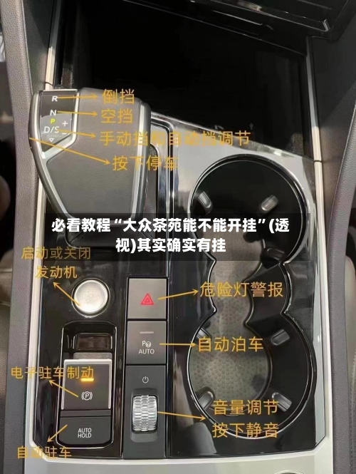 必看教程“大众茶苑能不能开挂”(透视)其实确实有挂-第1张图片