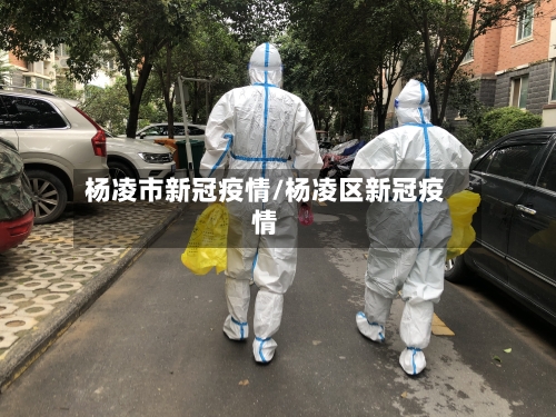 杨凌市新冠疫情/杨凌区新冠疫情-第1张图片