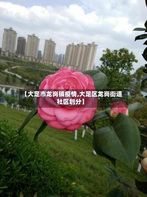 【大足市龙岗镇疫情,大足区龙岗街道社区划分】-第2张图片