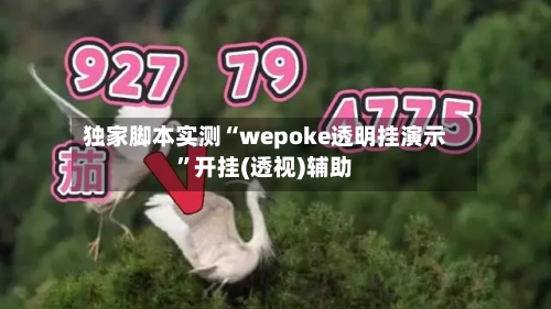 独家脚本实测“wepoke透明挂演示”开挂(透视)辅助-第1张图片