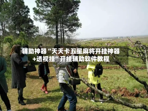辅助神器“天天卡五星麻将开挂神器+透视挂”开挂辅助软件教程-第2张图片