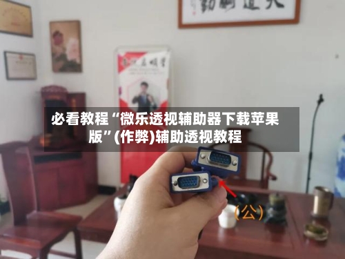 必看教程“微乐透视辅助器下载苹果版”(作弊)辅助透视教程-第2张图片