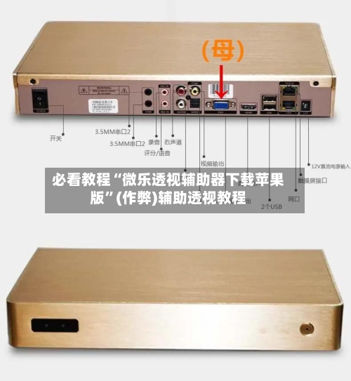 必看教程“微乐透视辅助器下载苹果版	”(作弊)辅助透视教程-第1张图片