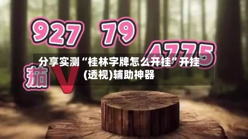 分享实测“桂林字牌怎么开挂”开挂(透视)辅助神器-第1张图片