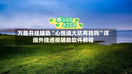 万能开挂辅助“心悦填大坑有挂吗”详细外挂透视辅助软件教程-第3张图片