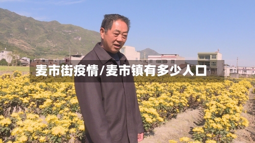 麦市街疫情/麦市镇有多少人口-第2张图片