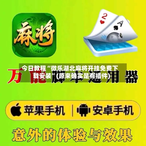 今日教程“微乐湖北麻将开挂免费下载安装	”(原来确实是有插件)-第2张图片