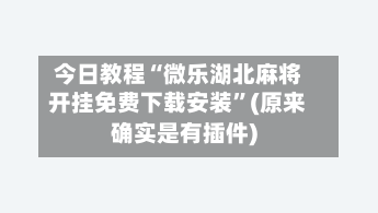 今日教程“微乐湖北麻将开挂免费下载安装”(原来确实是有插件)-第1张图片