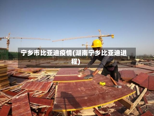 宁乡市比亚迪疫情(湖南宁乡比亚迪进程)-第3张图片