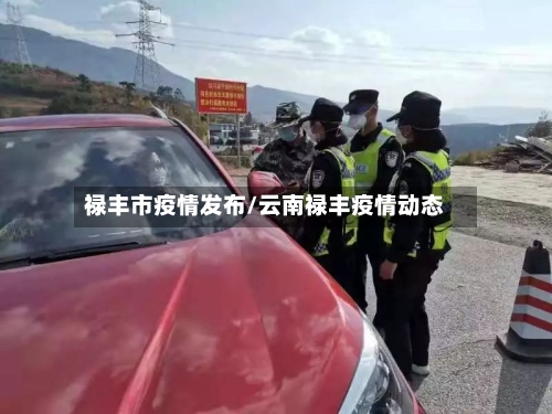 禄丰市疫情发布/云南禄丰疫情动态-第3张图片