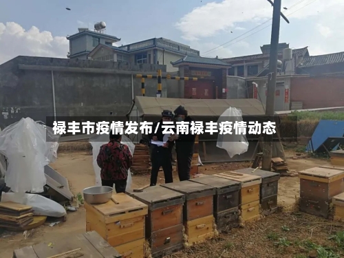 禄丰市疫情发布/云南禄丰疫情动态-第1张图片