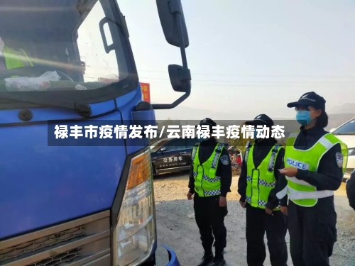 禄丰市疫情发布/云南禄丰疫情动态-第2张图片