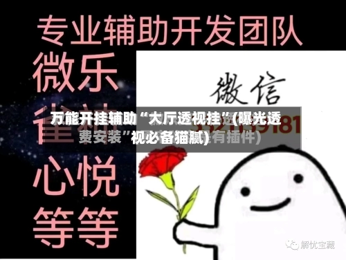 万能开挂辅助“大厅透视挂	”(曝光透视必备猫腻)-第1张图片