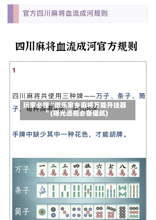 玩家必搜“微乐家乡麻将万能开挂器”(曝光透视必备猫腻)-第2张图片