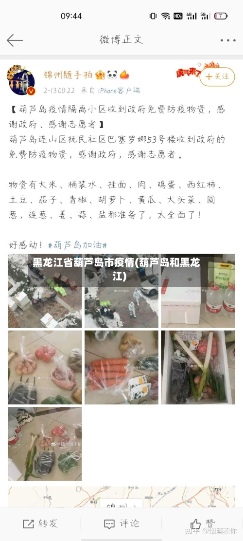 黑龙江省葫芦岛市疫情(葫芦岛和黑龙江)-第1张图片