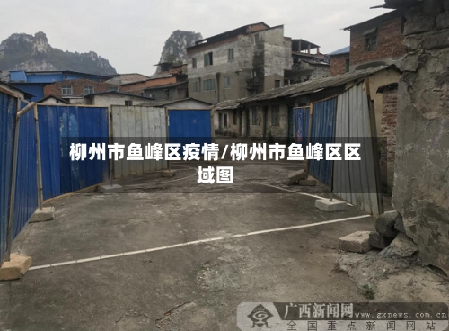 柳州市鱼峰区疫情/柳州市鱼峰区区域图-第1张图片