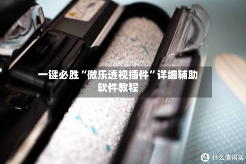 一键必胜“微乐透视插件	”详细辅助软件教程-第1张图片
