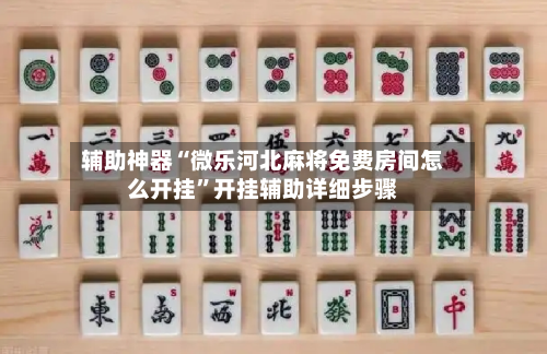 辅助神器“微乐河北麻将免费房间怎么开挂”开挂辅助详细步骤-第2张图片