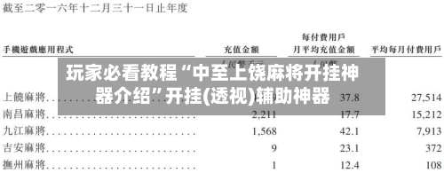 玩家必看教程“中至上饶麻将开挂神器介绍”开挂(透视)辅助神器-第3张图片