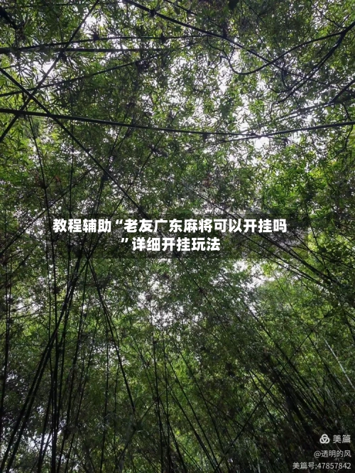 教程辅助“老友广东麻将可以开挂吗	”详细开挂玩法-第1张图片