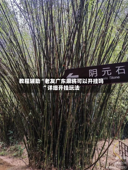 教程辅助“老友广东麻将可以开挂吗”详细开挂玩法-第2张图片