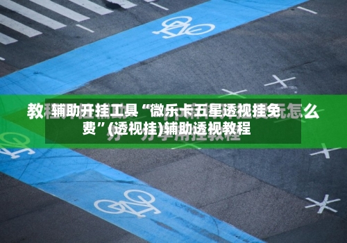 辅助开挂工具“微乐卡五星透视挂免费	”(透视挂)辅助透视教程-第2张图片
