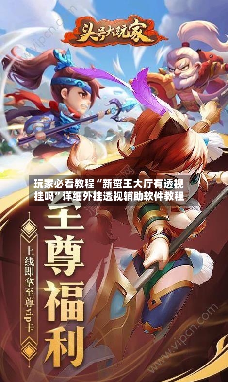 玩家必看教程“新蛮王大厅有透视挂吗”详细外挂透视辅助软件教程-第2张图片