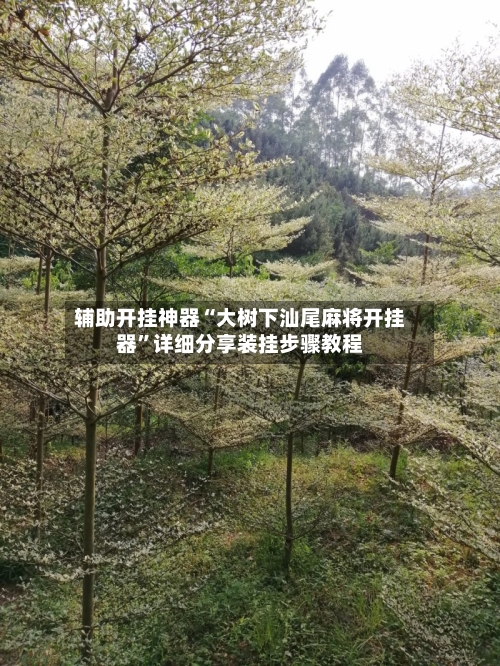 辅助开挂神器“大树下汕尾麻将开挂器	”详细分享装挂步骤教程-第1张图片