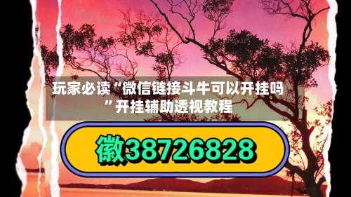 玩家必读“微信链接斗牛可以开挂吗	”开挂辅助透视教程-第2张图片