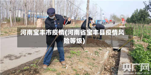 河南宝丰市疫情(河南省宝丰县疫情风险等级)-第1张图片