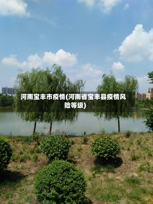 河南宝丰市疫情(河南省宝丰县疫情风险等级)-第3张图片