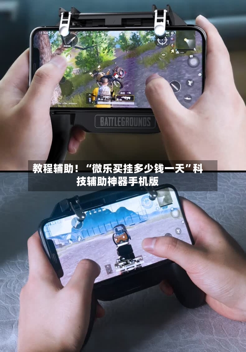 教程辅助！“微乐买挂多少钱一天	”科技辅助神器手机版-第2张图片