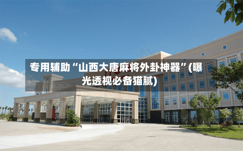 专用辅助“山西大唐麻将外卦神器”(曝光透视必备猫腻)-第2张图片